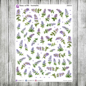 Bzzzz, cz.06k - kocimiętka