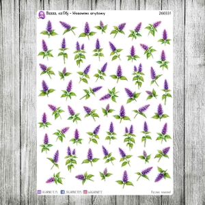 Bzzzz, cz.06j - kłosowiec anyżowy