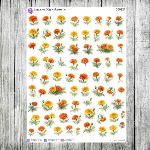 Bzzzz, cz.06g - aksamitki