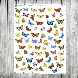 Bzzzz, cz.06c - bzzzz ciche i kolorowe aka motyle